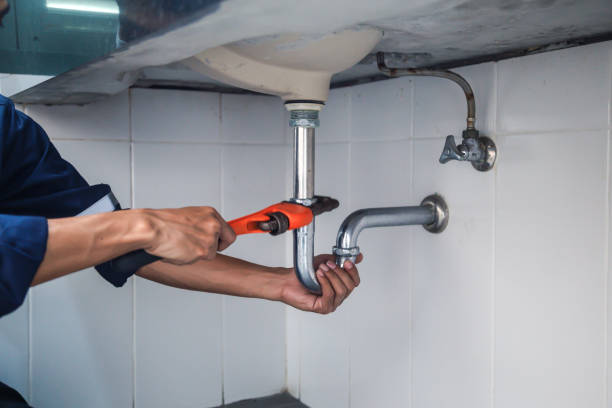 Best Plumbing Services Near Me  in Ham Lake, MN